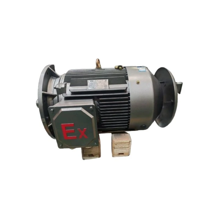 YFB250M-4 Flameproof Three-phase Asynchronous Ip 65 Motor 55kW suppliers
