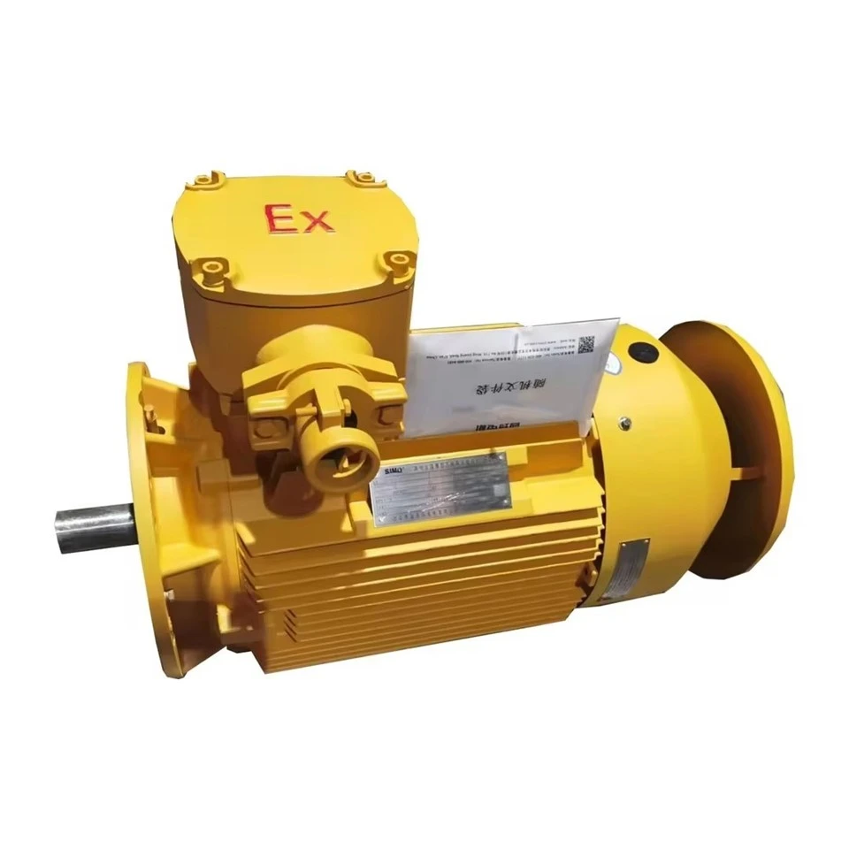Wound Rotor Induction Generator